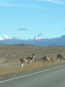 el chalten