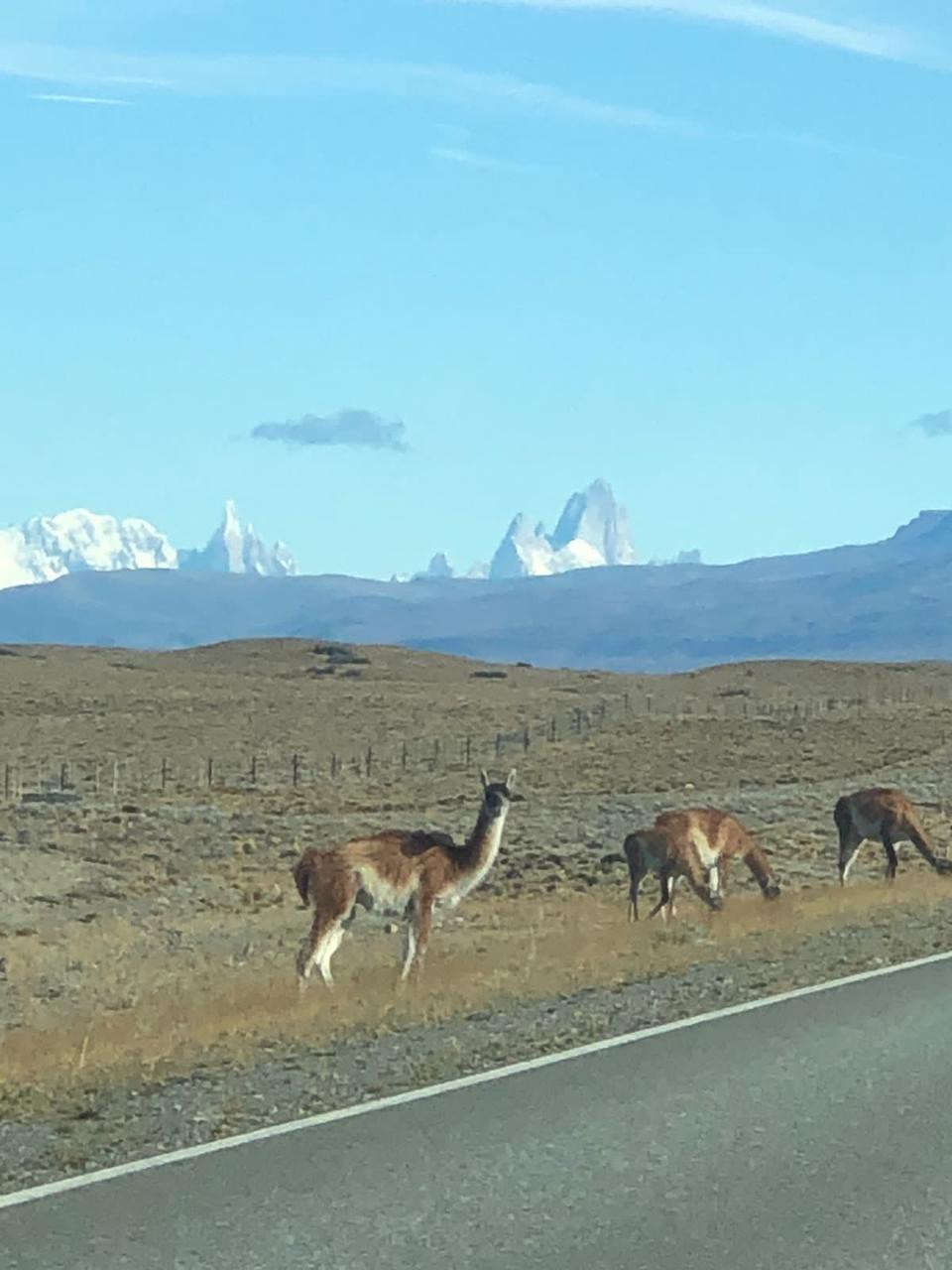 el chalten