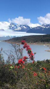 glaciar perito moreno